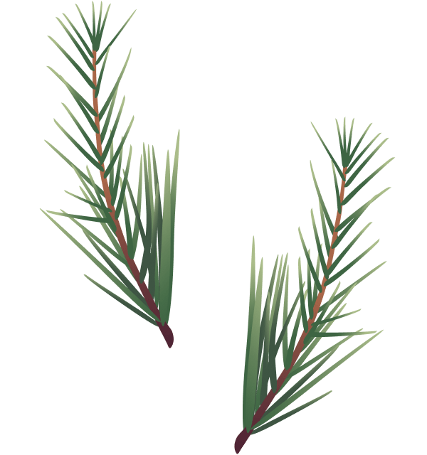 christmass-illustration-07b@2x