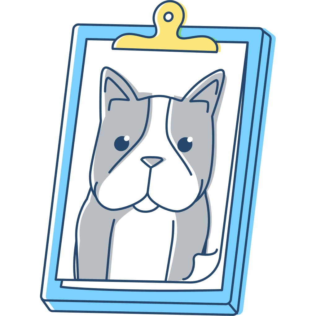 pet-trainer-illustration-01b@2x