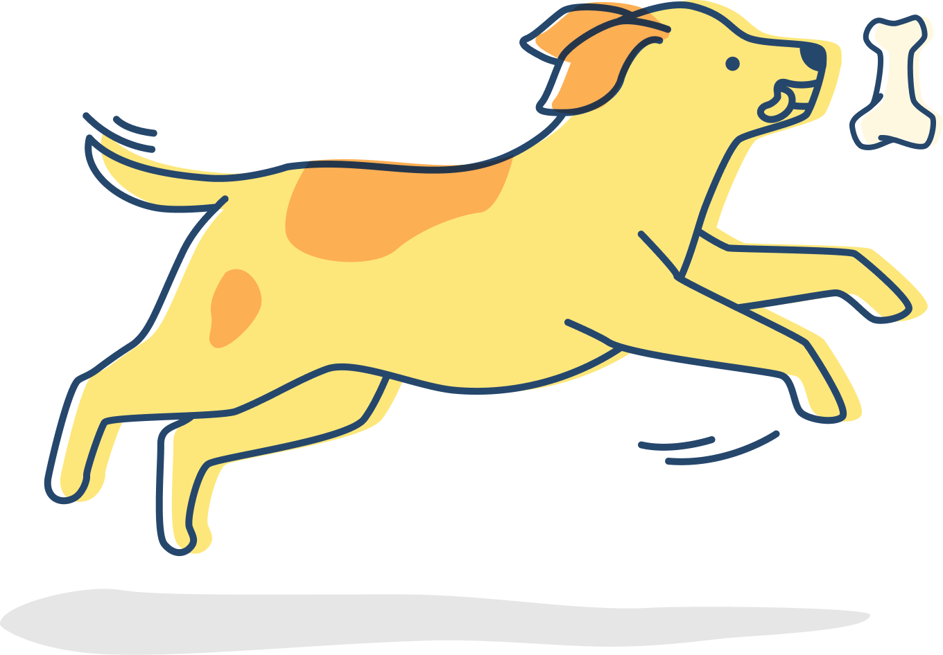 pet-trainer-illustration-12@2x