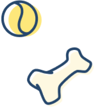 pet-trainer-illustration-14@2x